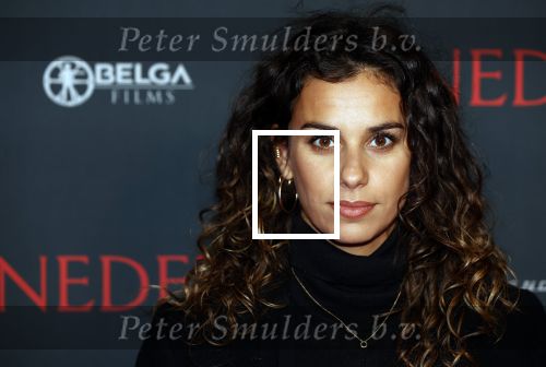 Amsterdam 12 oktober 2021
Premiere Benedetta  in Tuschinski. paul Verhoeven is de regisseur. Ortal Vriend