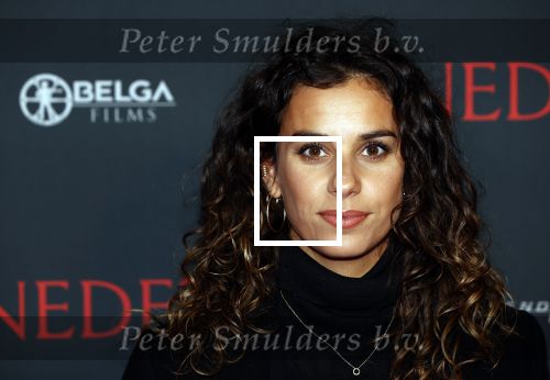Amsterdam 12 oktober 2021
Premiere Benedetta  in Tuschinski. paul Verhoeven is de regisseur. Ortal Vriend