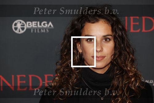 Amsterdam 12 oktober 2021
Premiere Benedetta  in Tuschinski. paul Verhoeven is de regisseur. Ortal Vriend