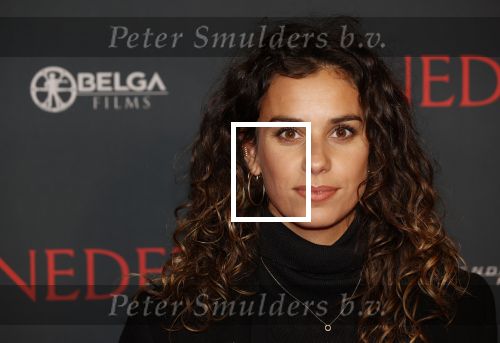 Amsterdam 12 oktober 2021
Premiere Benedetta  in Tuschinski. paul Verhoeven is de regisseur. Ortal Vriend