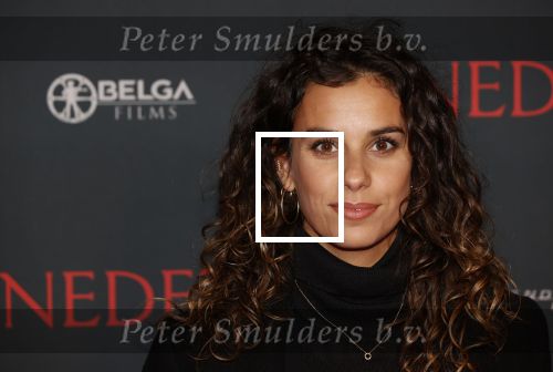 Amsterdam 12 oktober 2021
Premiere Benedetta  in Tuschinski. paul Verhoeven is de regisseur. Ortal Vriend