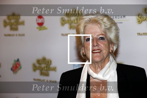 Amsterdam 3 oktober 2021
Premiere grote sinterklaasfilm in Pathe Noord. Pamela Teves