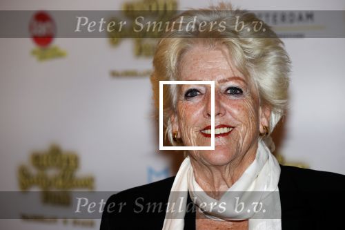 Amsterdam 3 oktober 2021
Premiere grote sinterklaasfilm in Pathe Noord. Pamela Teves