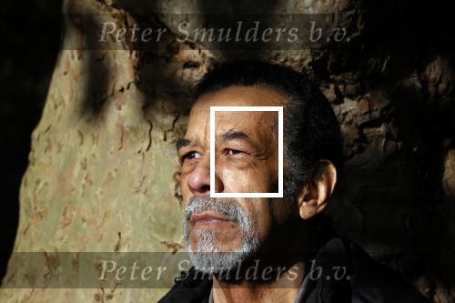 Amsterdam 21 oktober 2021
Rasti Rostelli ( Roland  v d Berg ) gaat weer optreden. Hij is ruim 20Kg afgevallen .