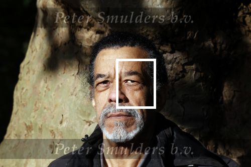 Amsterdam 21 oktober 2021
Rasti Rostelli ( Roland  v d Berg ) gaat weer optreden. Hij is ruim 20Kg afgevallen .