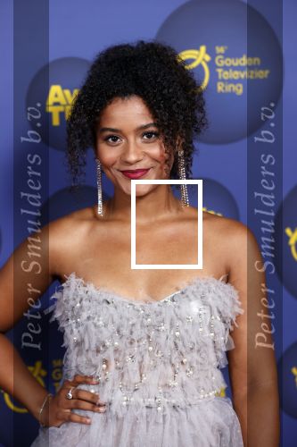 Amsterdam 14 oktober 2021
Televizierring gala in Carre Amsterdam. 
Stephanie v Eer