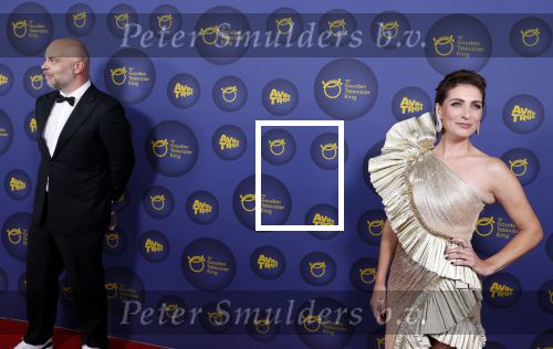 Amsterdam 14 oktober 2021
Televizierring gala in Carre Amsterdam. Vivienne v d Assem kwam met haar partner