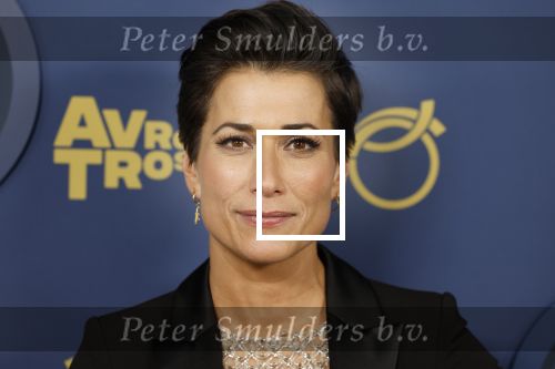 Amsterdam 6 oktober 2022
Uitreiking televizierring 2022 in carre
Annechien Steenhuizen