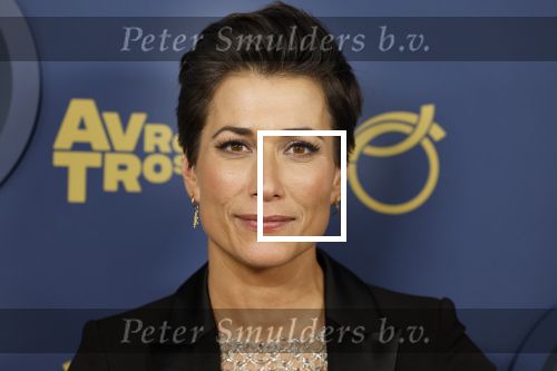 Amsterdam 6 oktober 2022
Uitreiking televizierring 2022 in carre
Annechien Steenhuizen