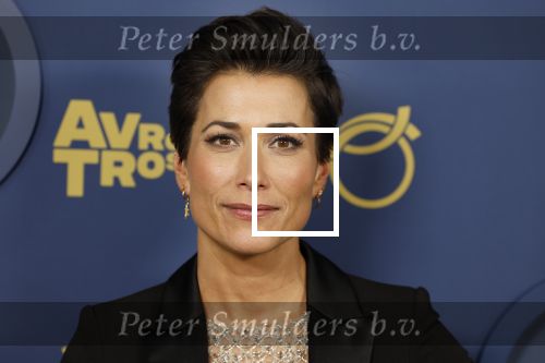 Amsterdam 6 oktober 2022
Uitreiking televizierring 2022 in carre
Annechien Steenhuizen