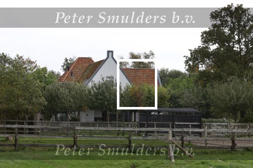 7 Oktober 2022 Nieuwe huis van Carlo Boszhard