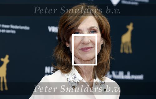 Utrecht 21 september 2022
Premiere Zee van tijd tijdens de openingsavond van het Nederlands filmfestival in de schouwburg in Utrecht. Elsie de Braauw