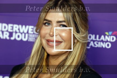 Amstelveen 26 september 2022
Premiere theatershow Tino Martin in de schouwburg van Amstelveen . Estelle Cruyff kwam met Koen Kardashian