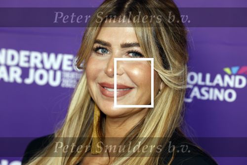 Amstelveen 26 september 2022
Premiere theatershow Tino Martin in de schouwburg van Amstelveen . Estelle Cruyff kwam met Koen Kardashian