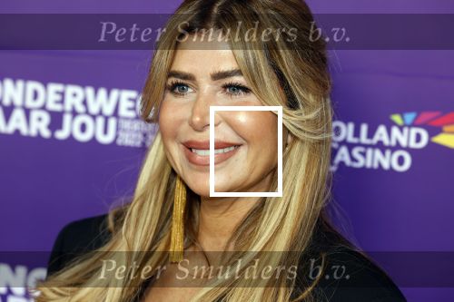 Amstelveen 26 september 2022
Premiere theatershow Tino Martin in de schouwburg van Amstelveen . Estelle Cruyff kwam met Koen Kardashian