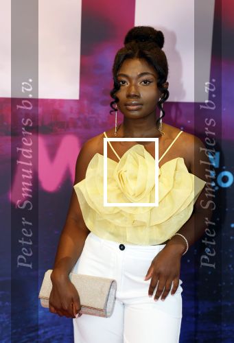 Amsterdam 30 september 2022
Premiere Misfit in Pathe arena.
De cast bestond oa uit Bettina Holwerda, Timor Steffens Senna Ramos Duncan Tromp Stefania Nienke v Dijk Anique Dreamon Kes v d Broek Ricky Naingolan Roosmarijn Wind Felice Poppeliers en Kimberley Agyarko