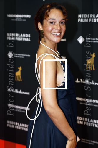 Utrecht 21 september 2022
Premiere Zee van tijd tijdens de openingsavond van het Nederlands filmfestival in de schouwburg in Utrecht. Jade Olieberg