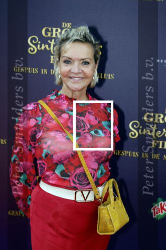 Amsterdam 2 oktober 2022
Premiere de grote sinterklaasfilm gespuis in de speelgoedkluis in Tuschinski. 
Mariska v Kolck