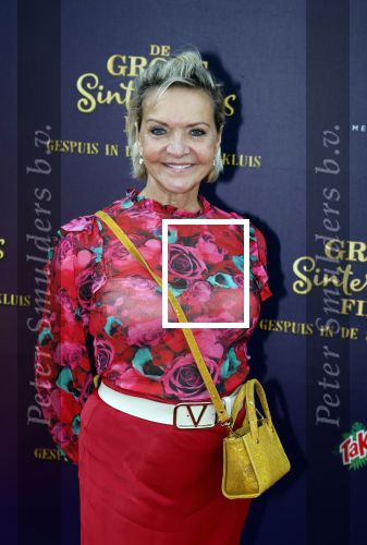 Amsterdam 2 oktober 2022
Premiere de grote sinterklaasfilm gespuis in de speelgoedkluis in Tuschinski. 
Mariska v Kolck