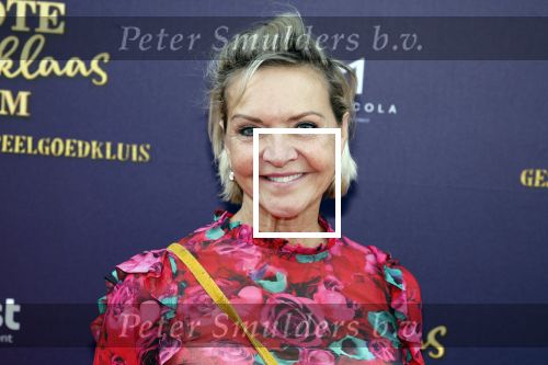 Amsterdam 2 oktober 2022
Premiere de grote sinterklaasfilm gespuis in de speelgoedkluis in Tuschinski. 
Mariska v Kolck