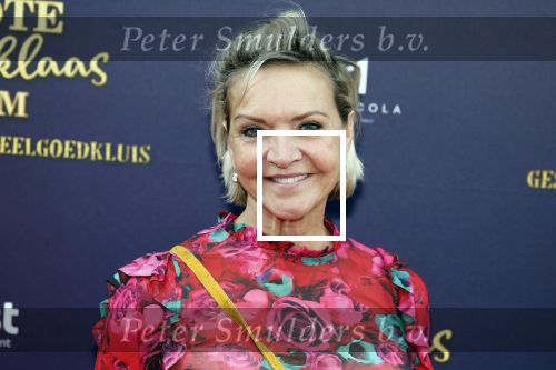 Amsterdam 2 oktober 2022
Premiere de grote sinterklaasfilm gespuis in de speelgoedkluis in Tuschinski. 
Mariska v Kolck