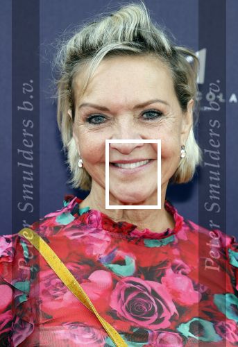 Amsterdam 2 oktober 2022
Premiere de grote sinterklaasfilm gespuis in de speelgoedkluis in Tuschinski. 
Mariska v Kolck