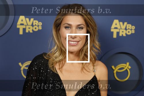 Amsterdam 6 oktober 2022
Uitreiking televizierring 2022 in carre
Marlou Petters