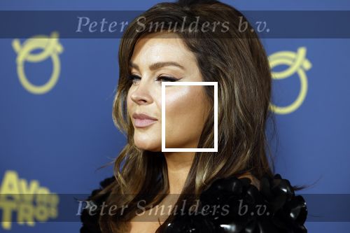 Amsterdam 6 oktober 2022
Uitreiking televizierring 2022 in carre .
Miljuschka Witzenhausen