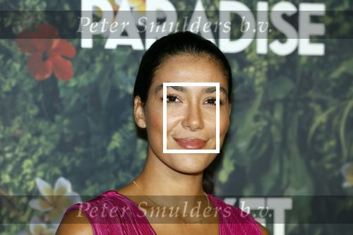 Amsterdam 25 september 2022
Premiere ticket to paradise in Tuschinski.
Quinty Trustfull en haar Dochter Moise Trustfull