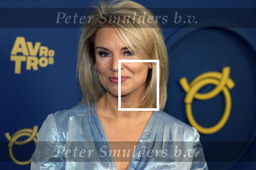 Amsterdam 6 oktober 2022
Uitreiking televizierring 2022 in carre .
Pernille la Lau kwam met addy v d Krommenacker