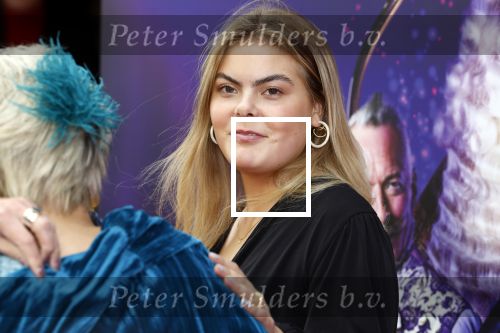 Amsterdam 2 oktober 2022
Premiere de grote sinterklaasfilm gespuis in de speelgoedkluis in Tuschinski. 
Prinses Eloise