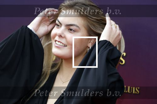 Amsterdam 2 oktober 2022
Premiere de grote sinterklaasfilm gespuis in de speelgoedkluis in Tuschinski. 
Prinses Eloise