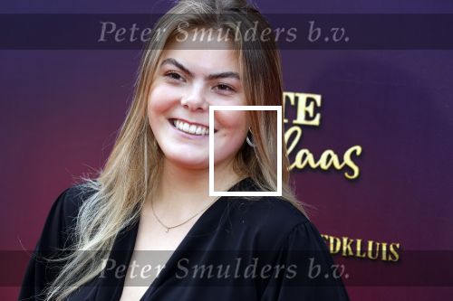 Amsterdam 2 oktober 2022
Premiere de grote sinterklaasfilm gespuis in de speelgoedkluis in Tuschinski. 
Prinses Eloise