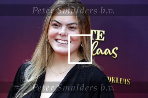 Amsterdam 2 oktober 2022
Premiere de grote sinterklaasfilm gespuis in de speelgoedkluis in Tuschinski. 
Prinses Eloise