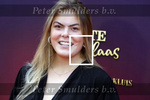 Amsterdam 2 oktober 2022
Premiere de grote sinterklaasfilm gespuis in de speelgoedkluis in Tuschinski. 
Prinses Eloise