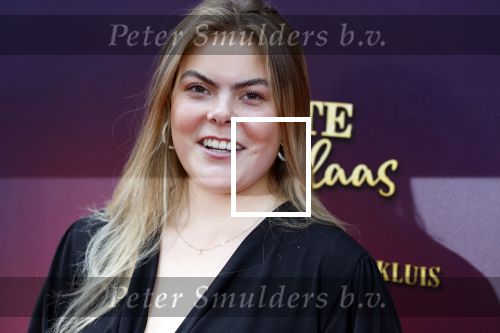 Amsterdam 2 oktober 2022
Premiere de grote sinterklaasfilm gespuis in de speelgoedkluis in Tuschinski. 
Prinses Eloise