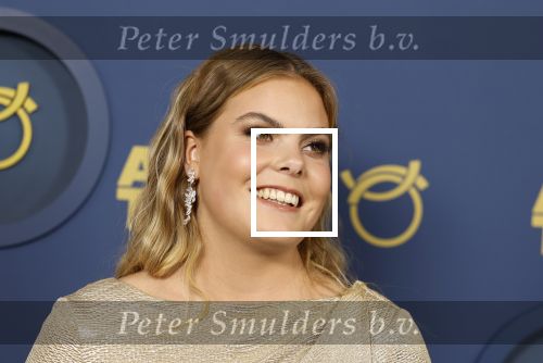 Amsterdam 6 oktober 2022
Uitreiking televizierring 2022 in carre