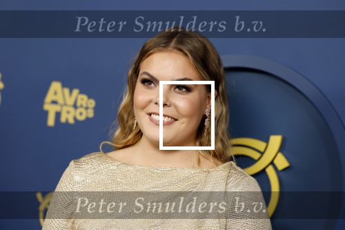Amsterdam 6 oktober 2022
Uitreiking televizierring 2022 in carre .
Prinses Eloise
