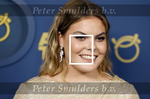 Amsterdam 6 oktober 2022
Uitreiking televizierring 2022 in carre .
Prinses Eloise