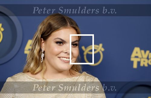 Amsterdam 6 oktober 2022
Uitreiking televizierring 2022 in carre .
Prinses Eloise