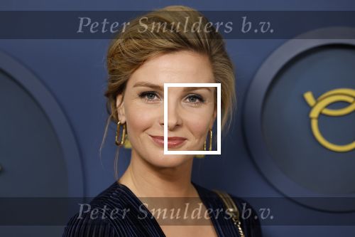 Amsterdam 6 oktober 2022
Uitreiking televizierring 2022 in carre
