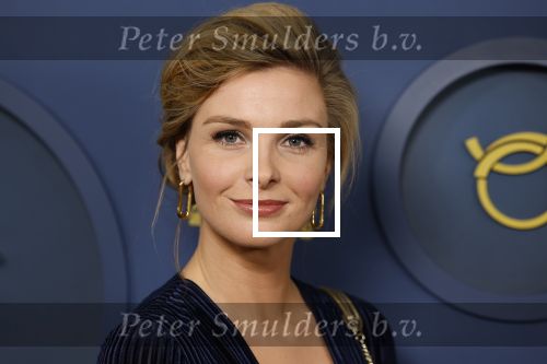 Amsterdam 6 oktober 2022
Uitreiking televizierring 2022 in carre