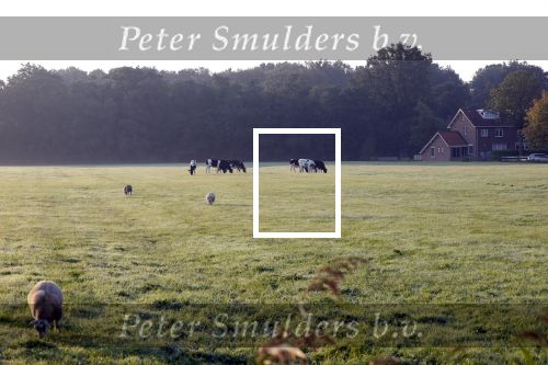 Abcoude 15 september 2023
Abcoude