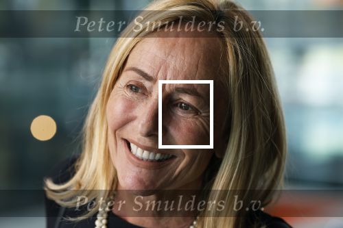 Hilversum 25 september 2023
Presentatie boek Harry de Winter in beeld en geluid.
Angela Groothuizen