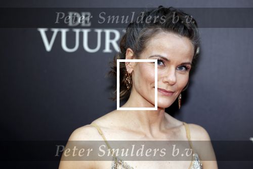 Amsterdam 11 september 2023
Premiere de Vuurlinie in Thuschinski Amsterdam . Angela Schijf draagt sieranden van Prinses Margarita