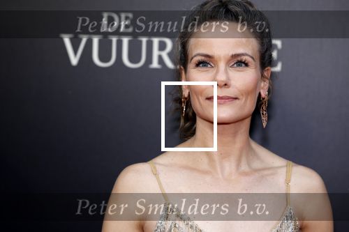 Amsterdam 11 september 2023
Premiere de Vuurlinie in Thuschinski Amsterdam . Angela Schijf draagt sieranden van Prinses Margarita