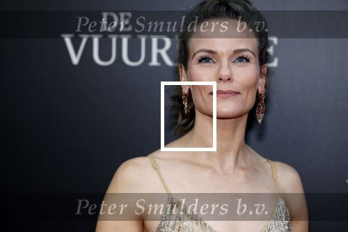 Amsterdam 11 september 2023
Premiere de Vuurlinie in Thuschinski Amsterdam . Angela Schijf draagt sieranden van Prinses Margarita