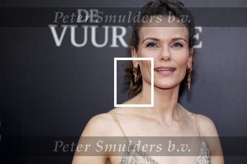 Amsterdam 11 september 2023
Premiere de Vuurlinie in Thuschinski Amsterdam . Angela Schijf draagt sieranden van Prinses Margarita