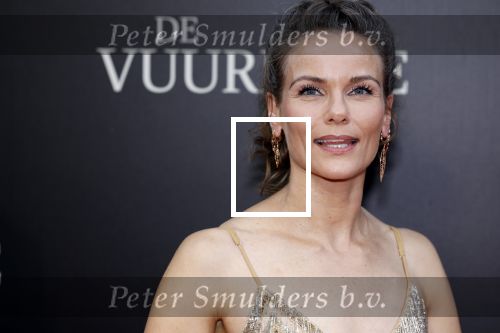 Amsterdam 11 september 2023
Premiere de Vuurlinie in Thuschinski Amsterdam . Angela Schijf draagt sieranden van Prinses Margarita