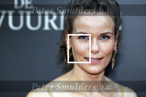 Amsterdam 11 september 2023
Premiere de Vuurlinie in Thuschinski Amsterdam . Angela Schijf draagt sieranden van Prinses Margarita